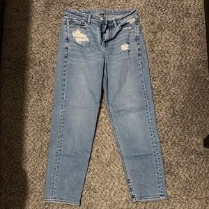 American Eagle Outfitters Light Blue Distressed Ankle Jeans